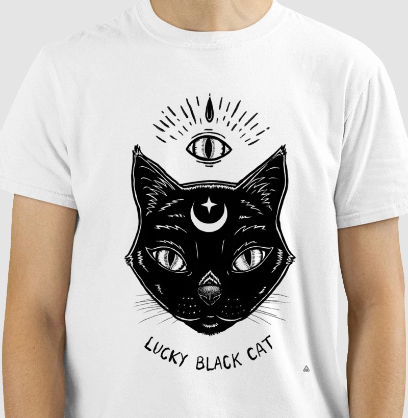 Lucky black cat