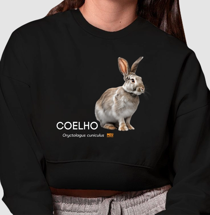 Coelho