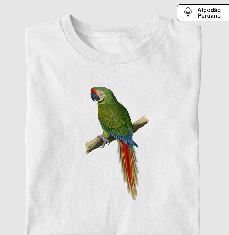 Arara-militar