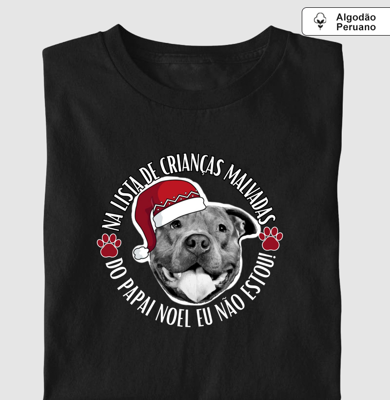 NA LISTA DE CRIANÇAS MALVADAS DO PAPAI NOEL EU NÃO ESTOU!