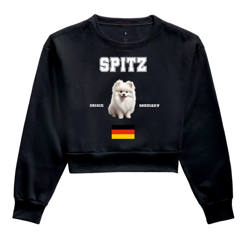 Spitz Alemão - em branco