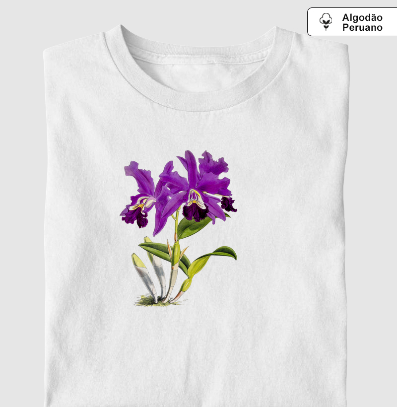 Cattleya Mardellii