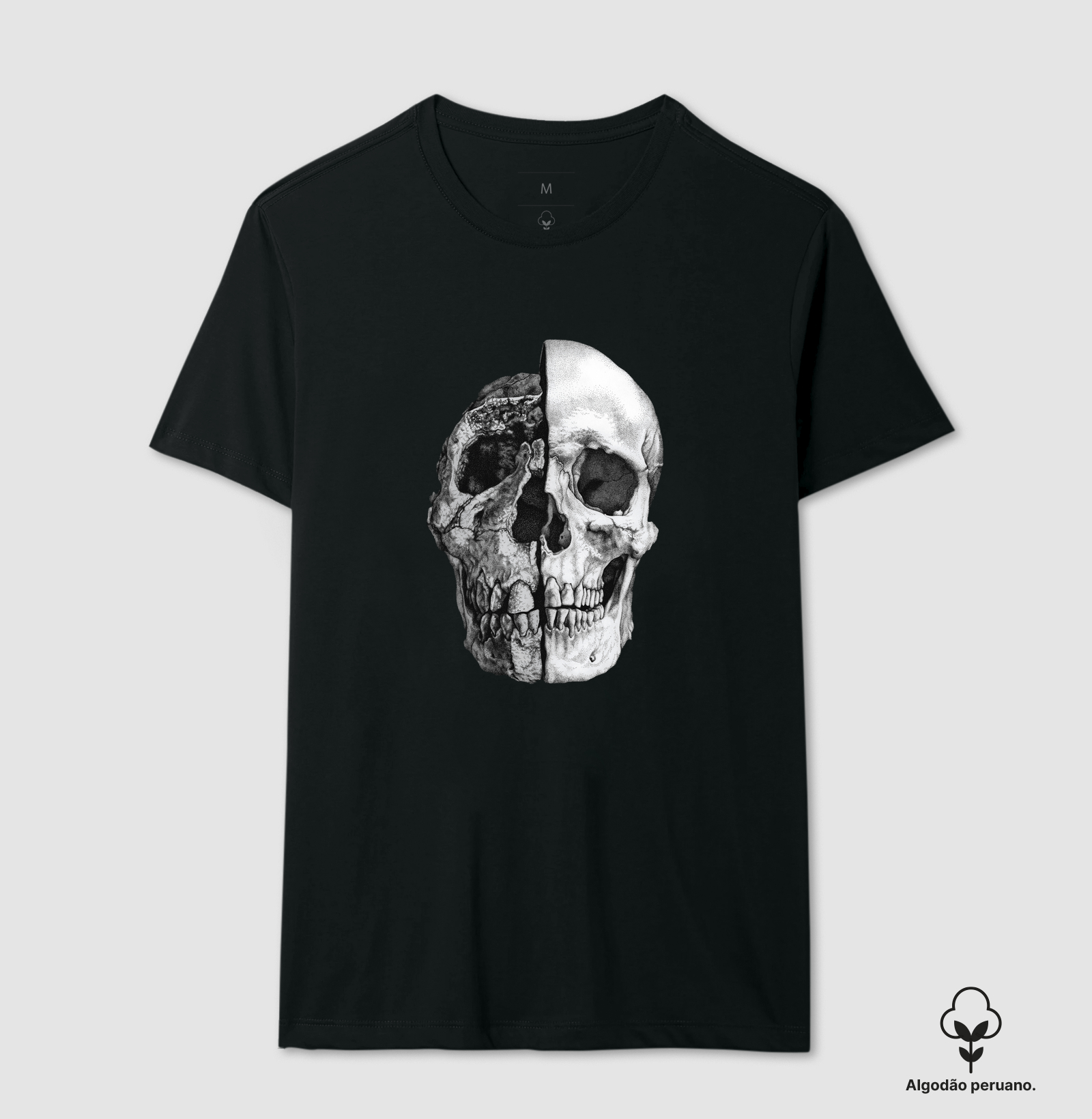 De erectus a sapiens