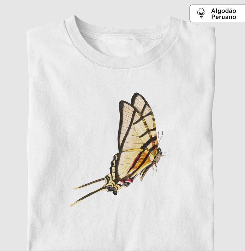 Borboleta