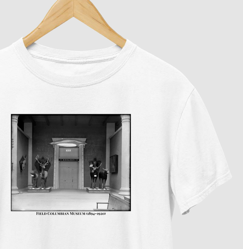 Field Columbian Museum (1894–1920)