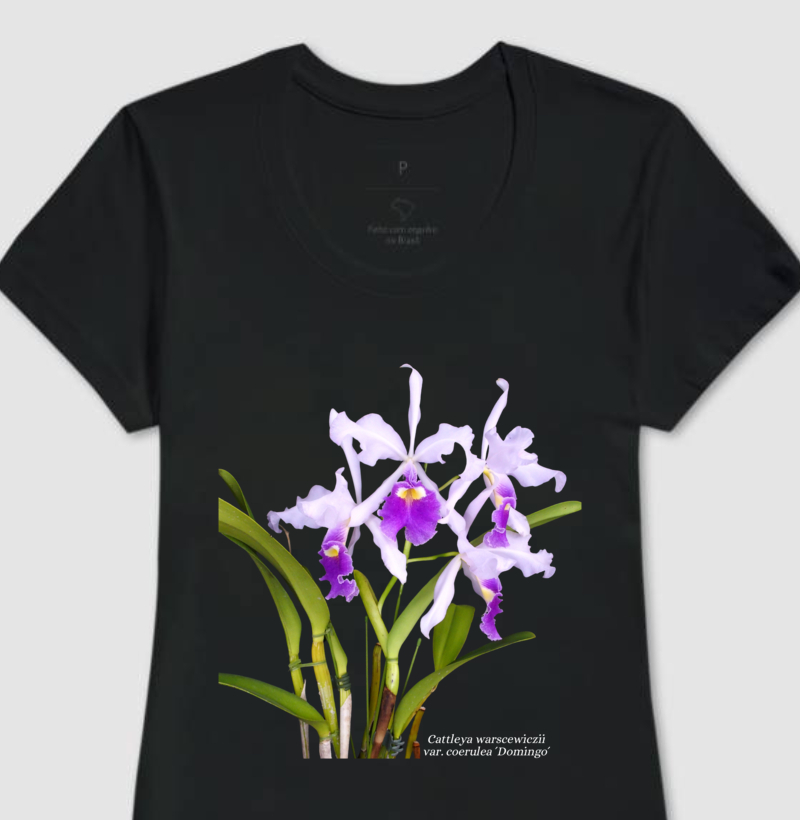 Baby Look Cattleya warscewiczii var. coerulea