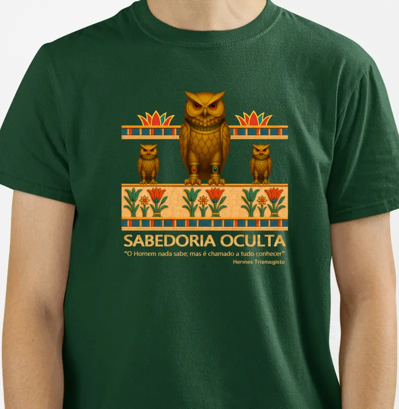 016 - Coruja Sabedoria Oculta 