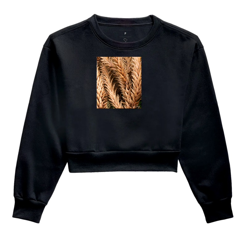 Camiseta Pinheiro