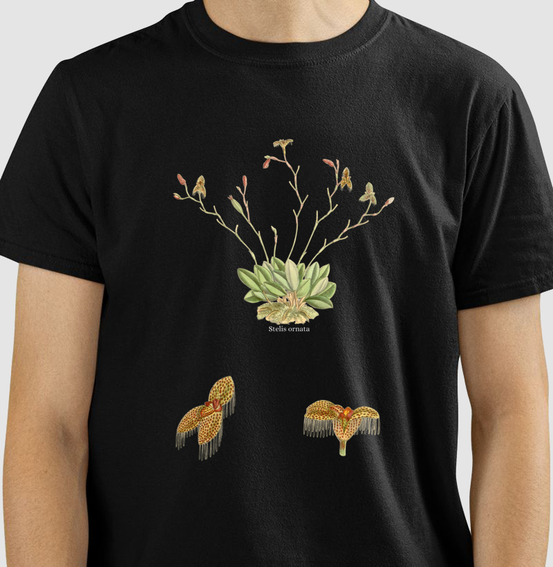 Camiseta T-shirt Stelis ornata