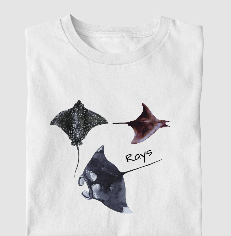Rays