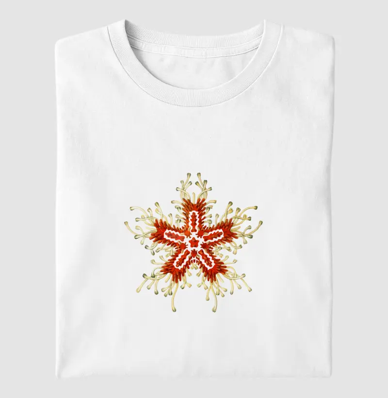 Estrela do Mar