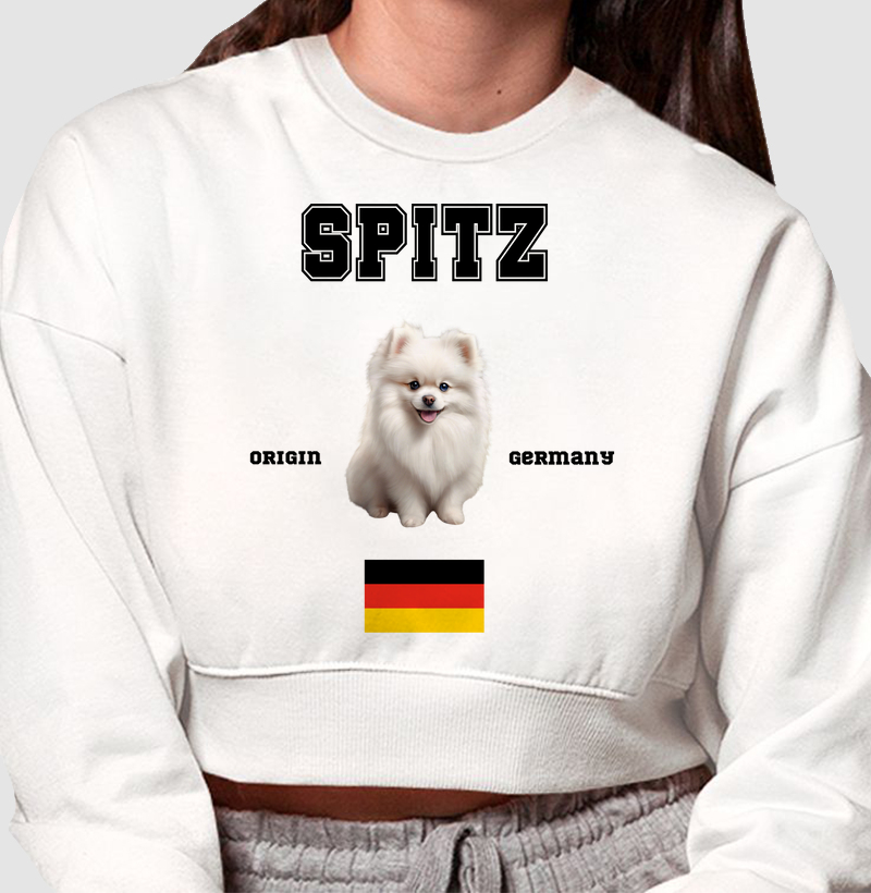 Spitz Alemão 