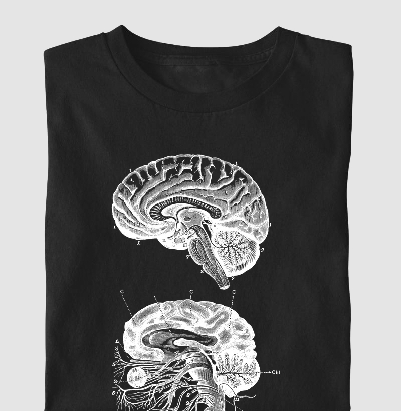 Camiseta Neuroanatomia 