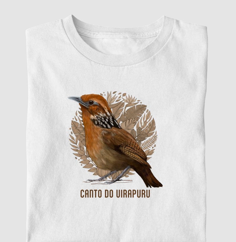 Aves do Brasil - Canto do Uirapuru - Infantil