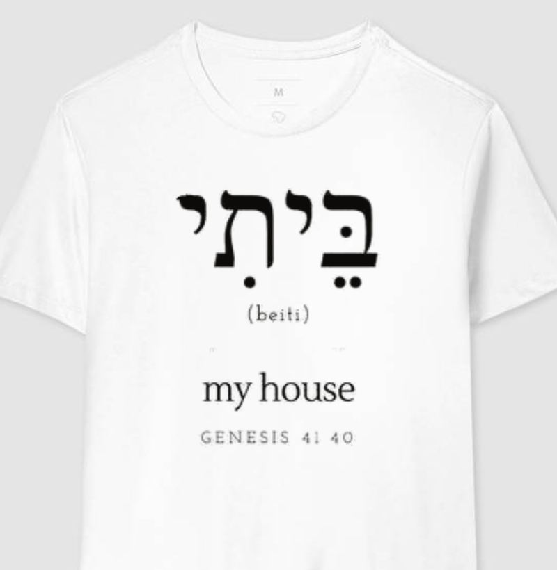 GENESIS 41.40