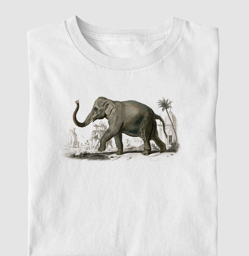 Asian elephant