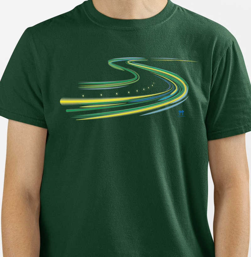 CURVA S
