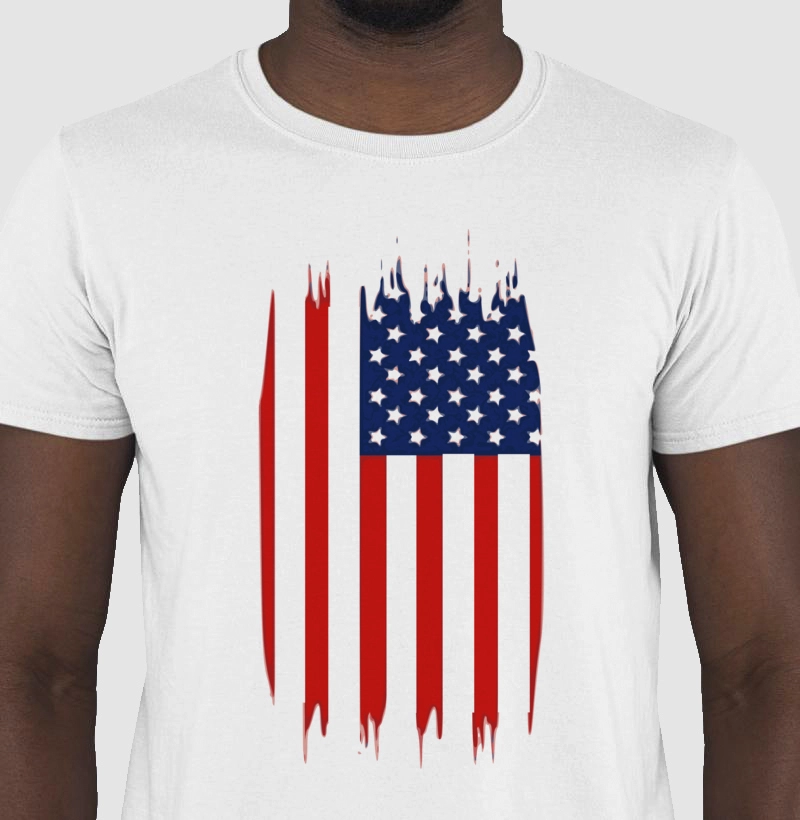 USA 3