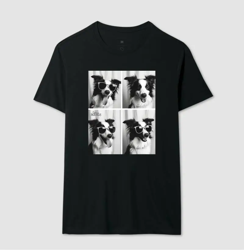 Border Collie Ensaio Photobooh 