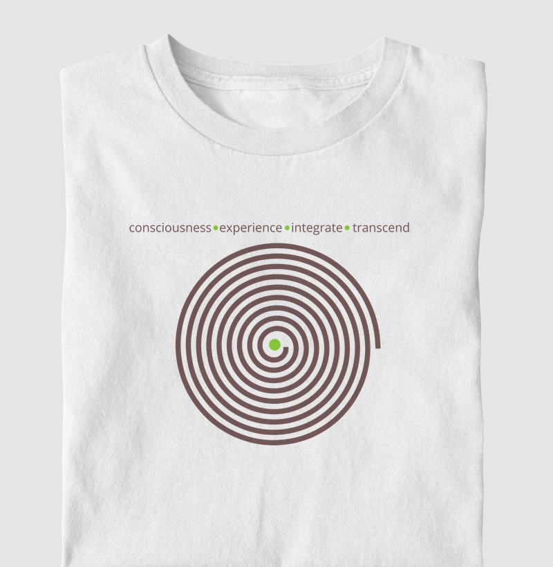 Consciousness.experience.integrate.transcend