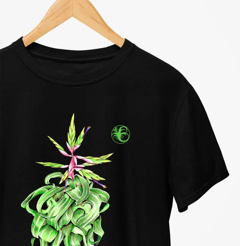 STREPTOPHYLA