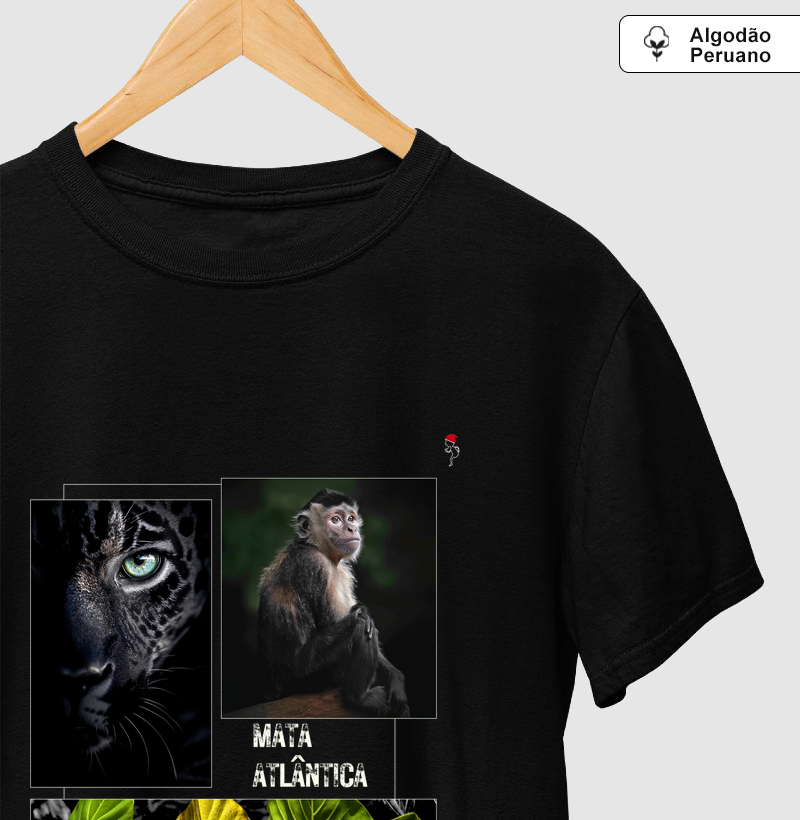 Mata Atlântica 