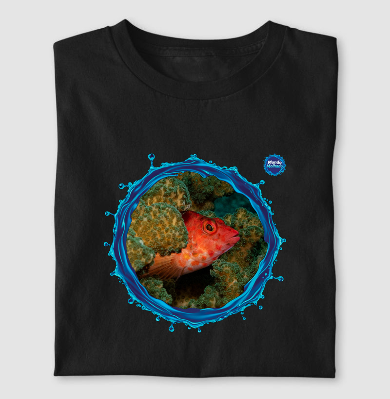 Peixe Falcão Pontilhado - Mar de Cortez