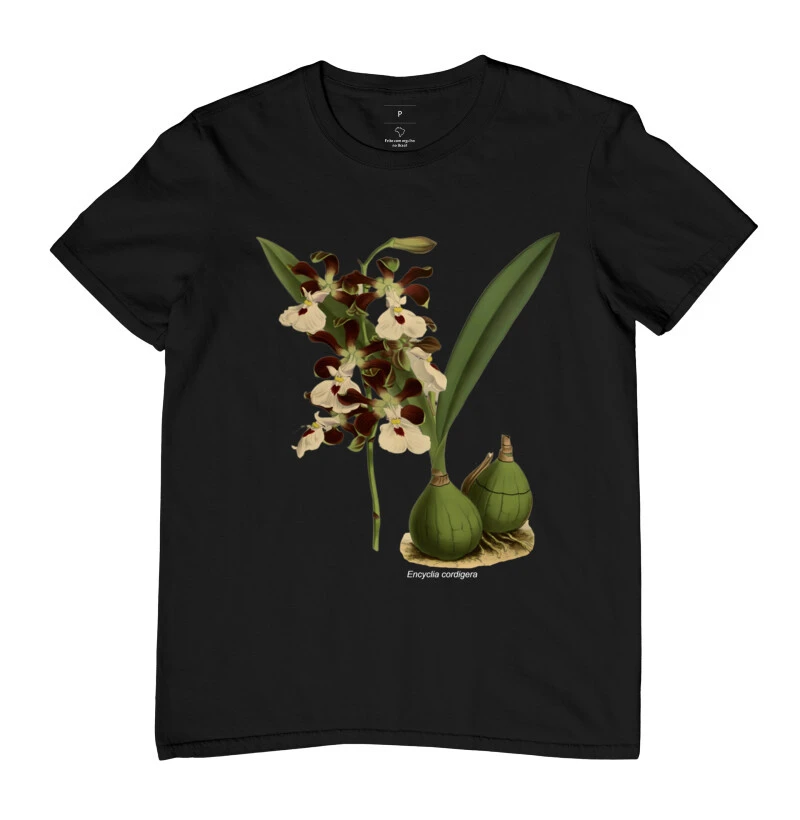 Encyclia cordigera