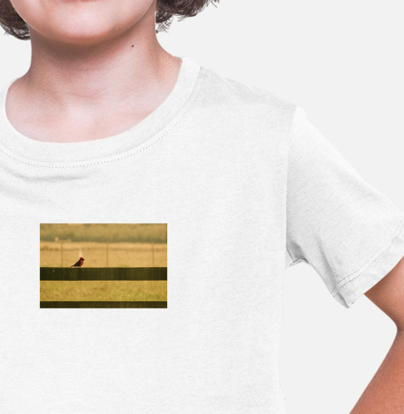 Pássaro Príncipe - Heritage