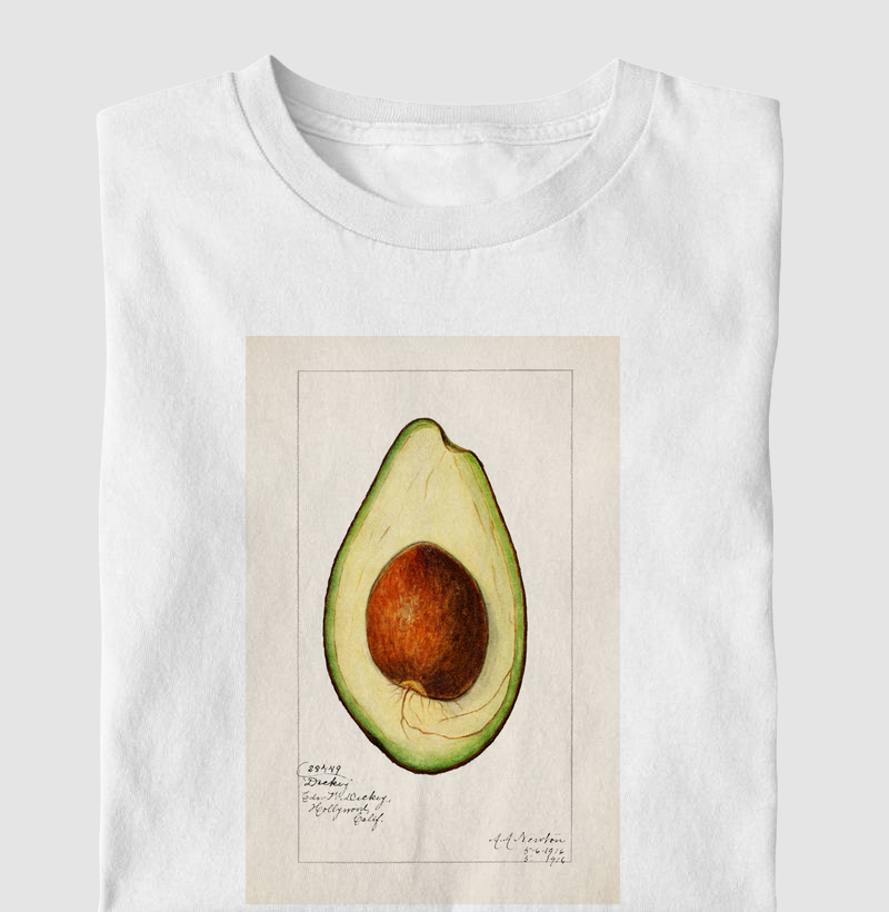 Avocado