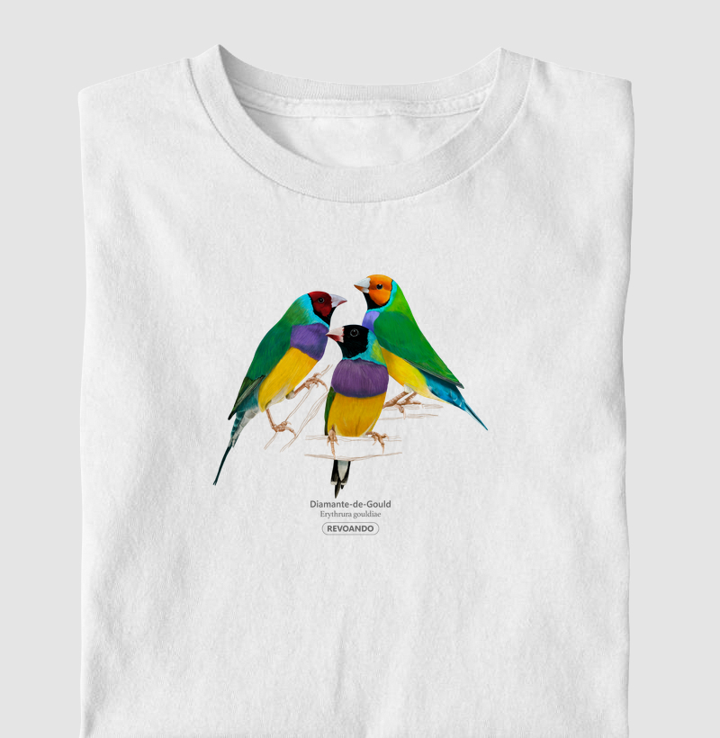 Love Friends - Diamante-de-Gould - Infantil