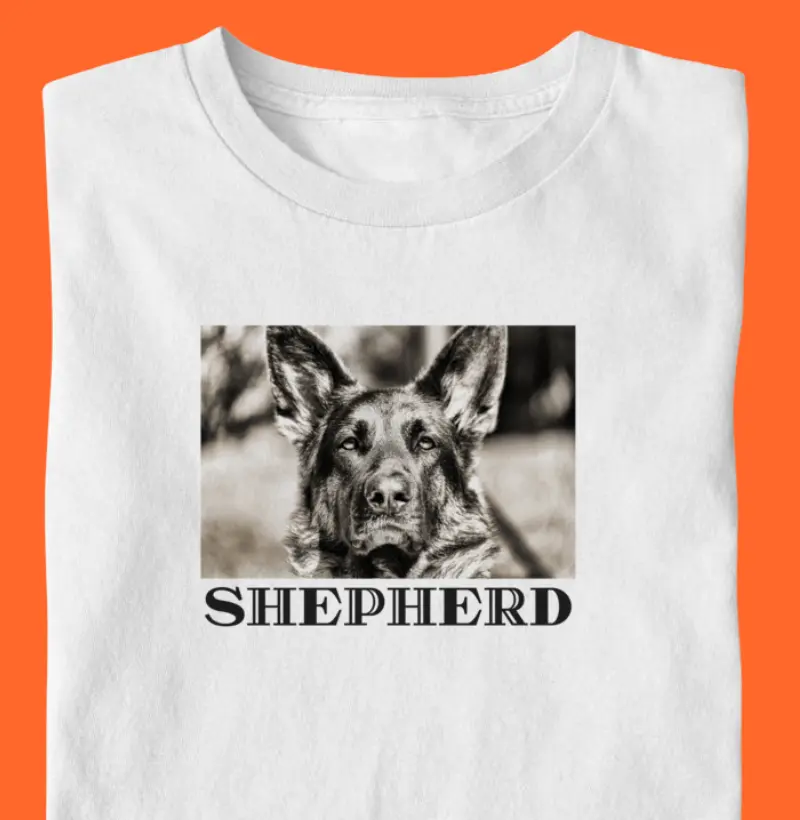 Shepherd - pastor alemão