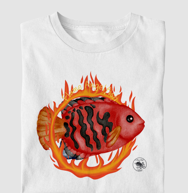 Flame Angelfish 2