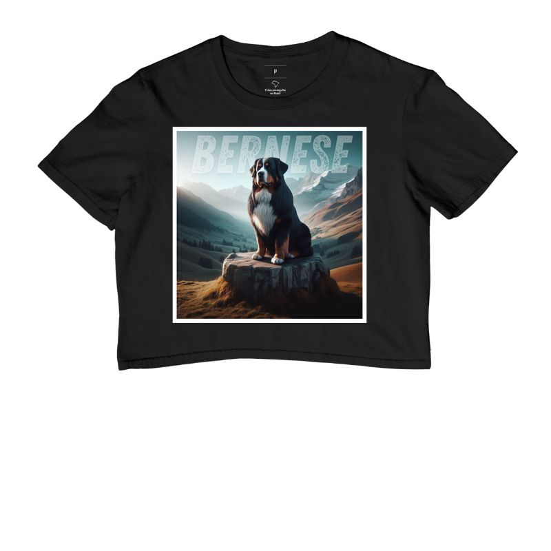 Bernese da Montanha
