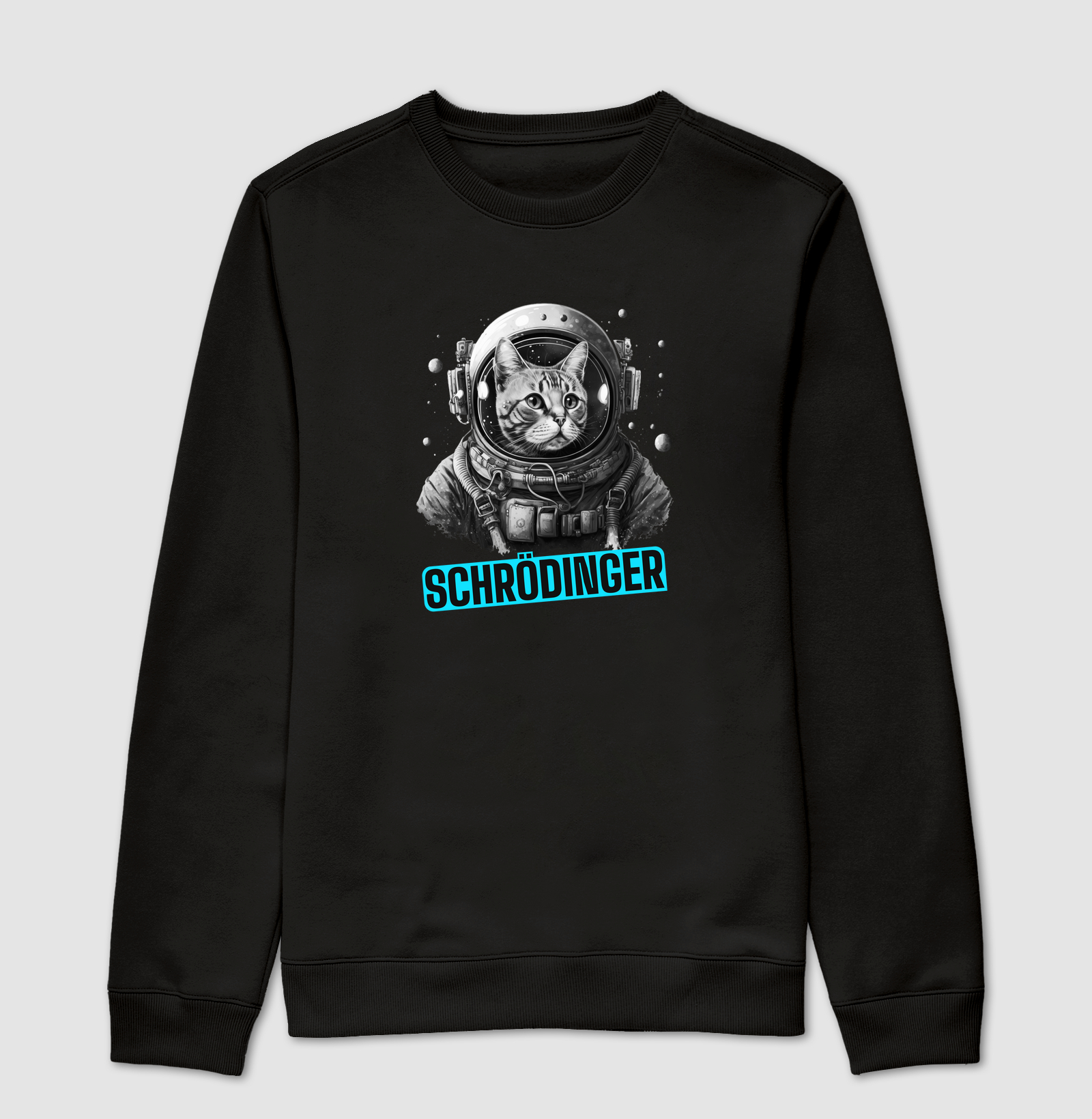Gato de Schrödinger 1