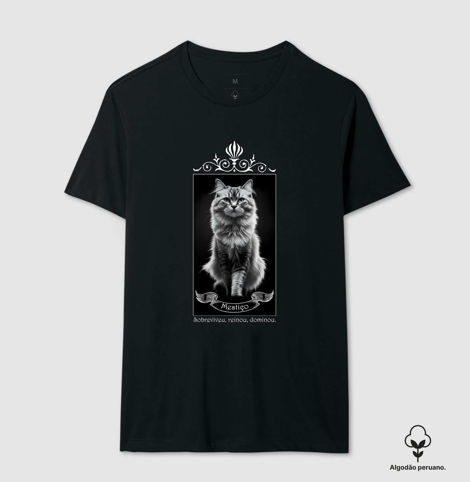 Felino Mestiço 