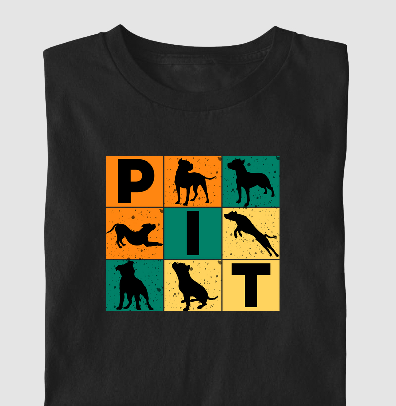 PIT 