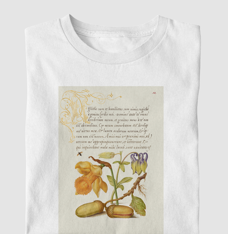 Insect, Daffodil, European Columbine, and English Oak Acorns