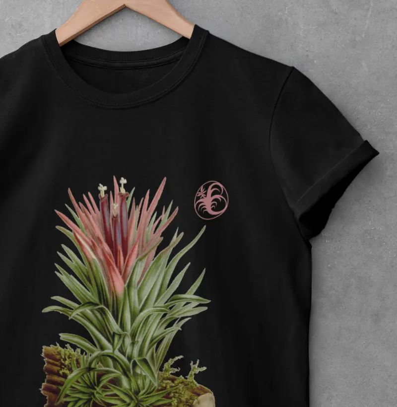 IONANTHA I