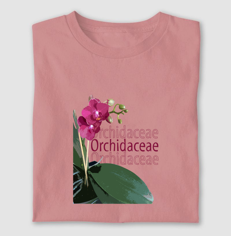 Orchidaceae