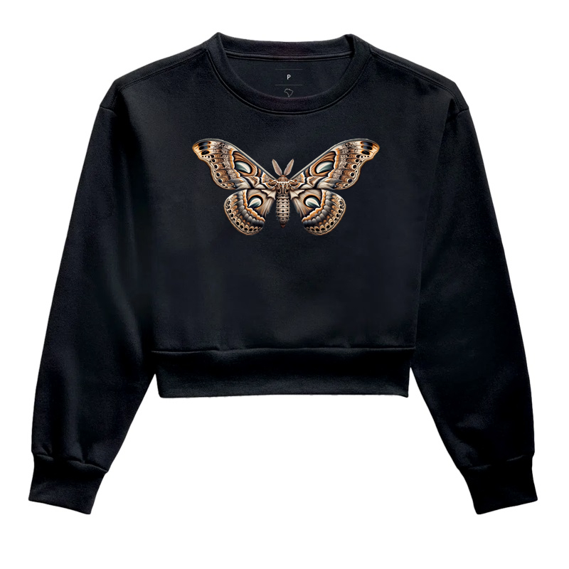 Mariposa, Ondas de Transformação