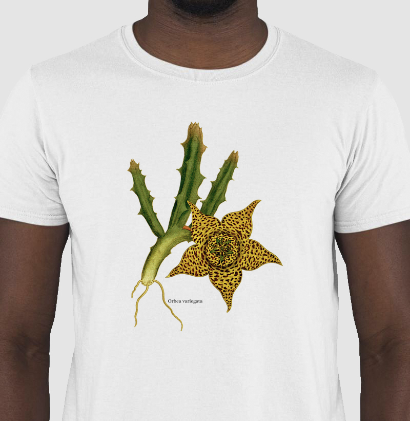 Camiseta Tshirt Orbea variegata