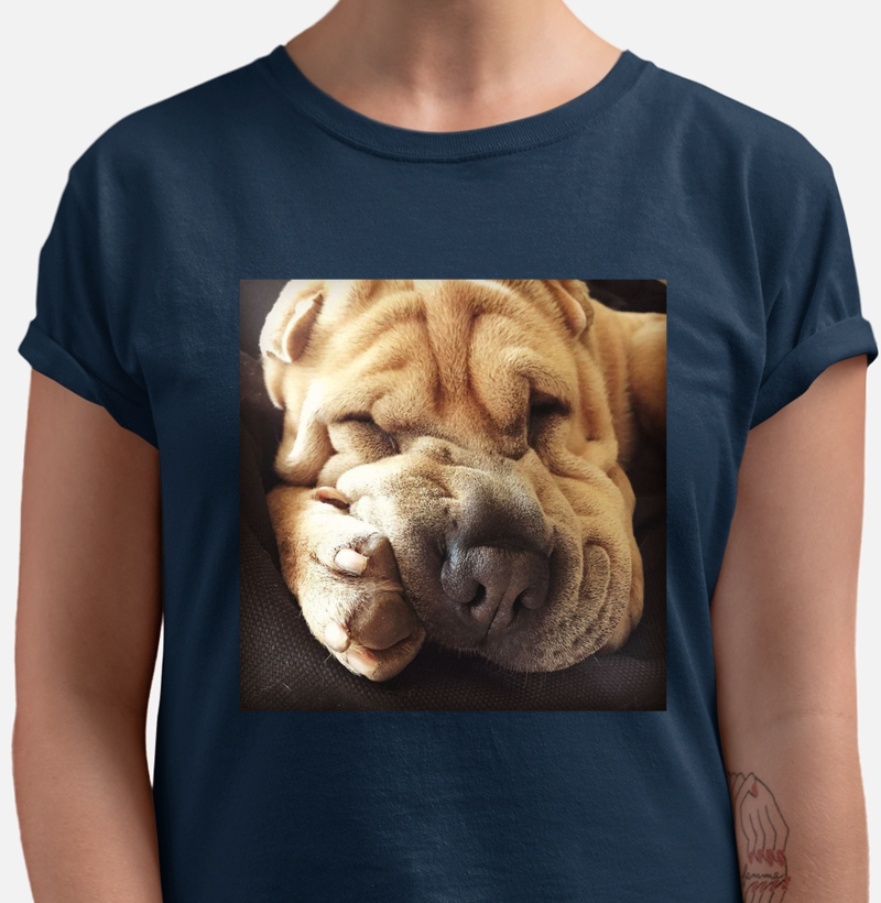 Sleeping Sharpei