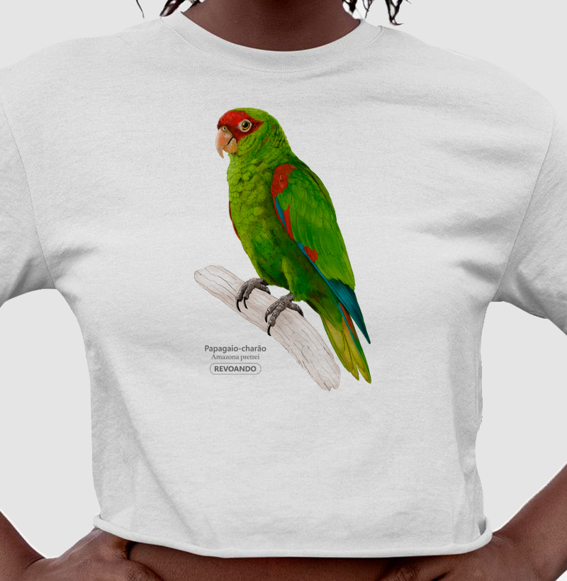 Aves do Brasil - Papagaio-charão - Cropped