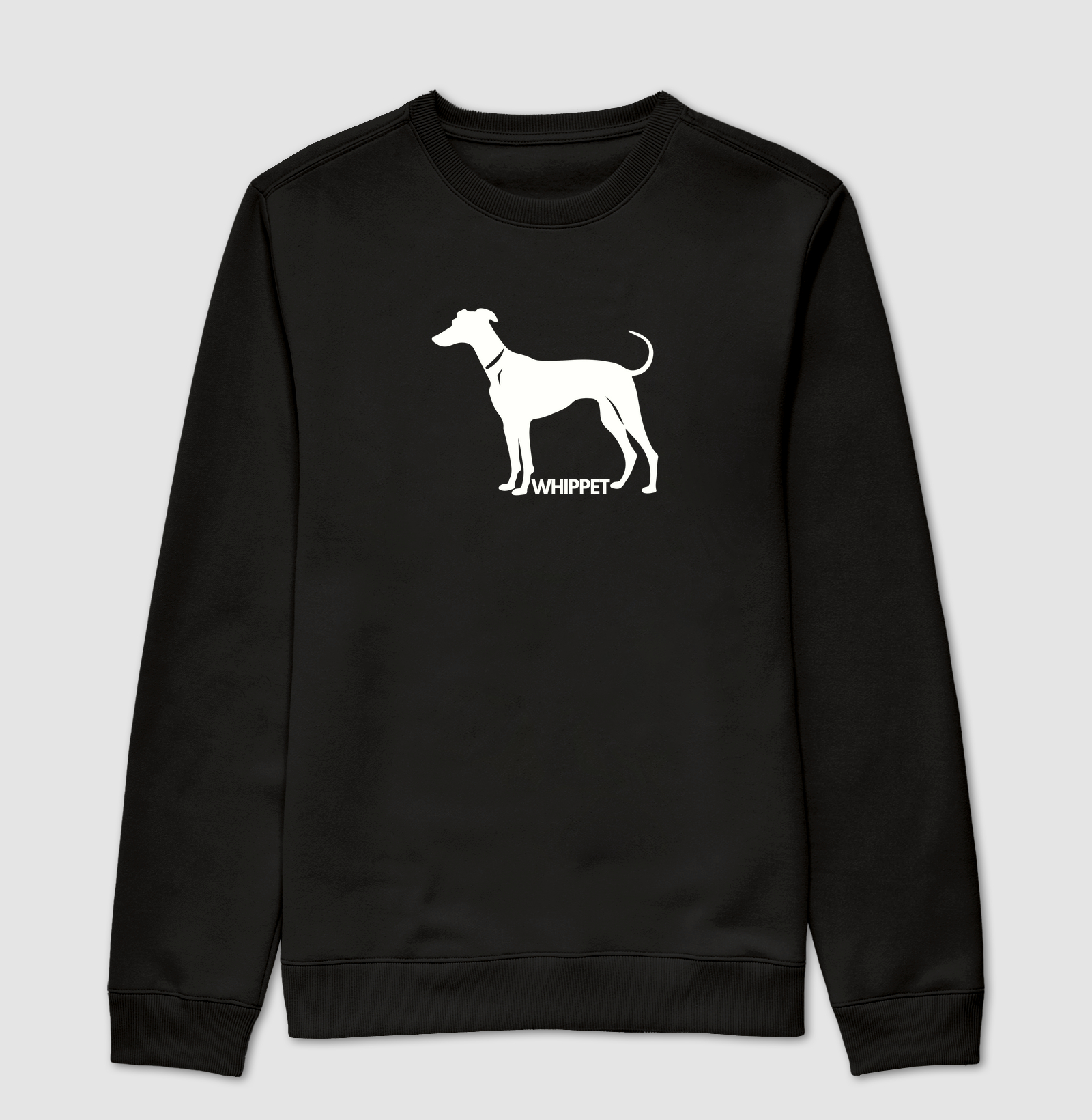 Whippet