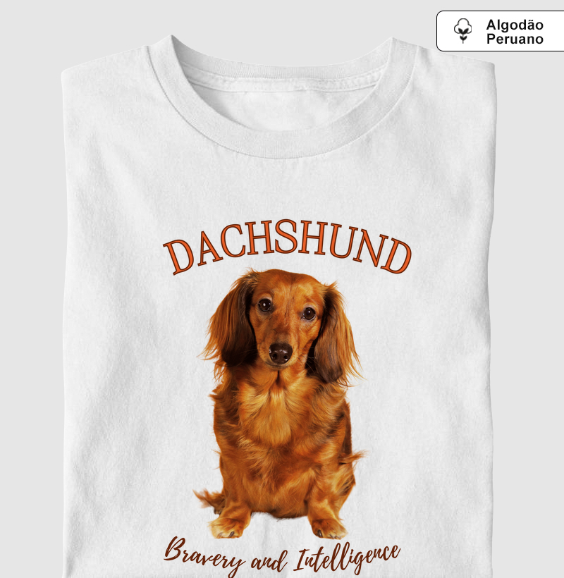 DACHSHUND