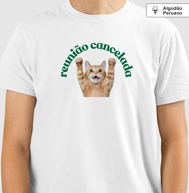 Reunião cancelada 