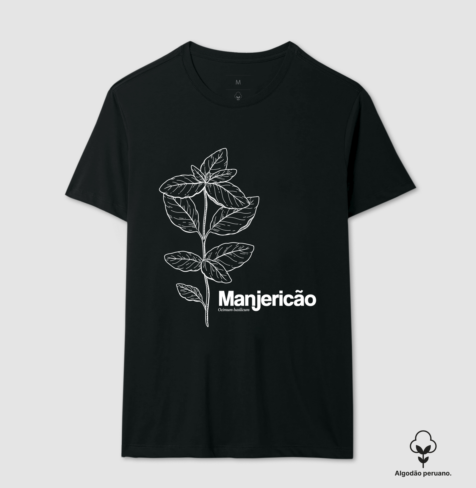 Manjericão