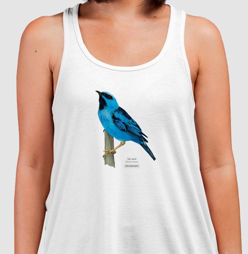 Aves do Brasil - Saí-azul - Regata