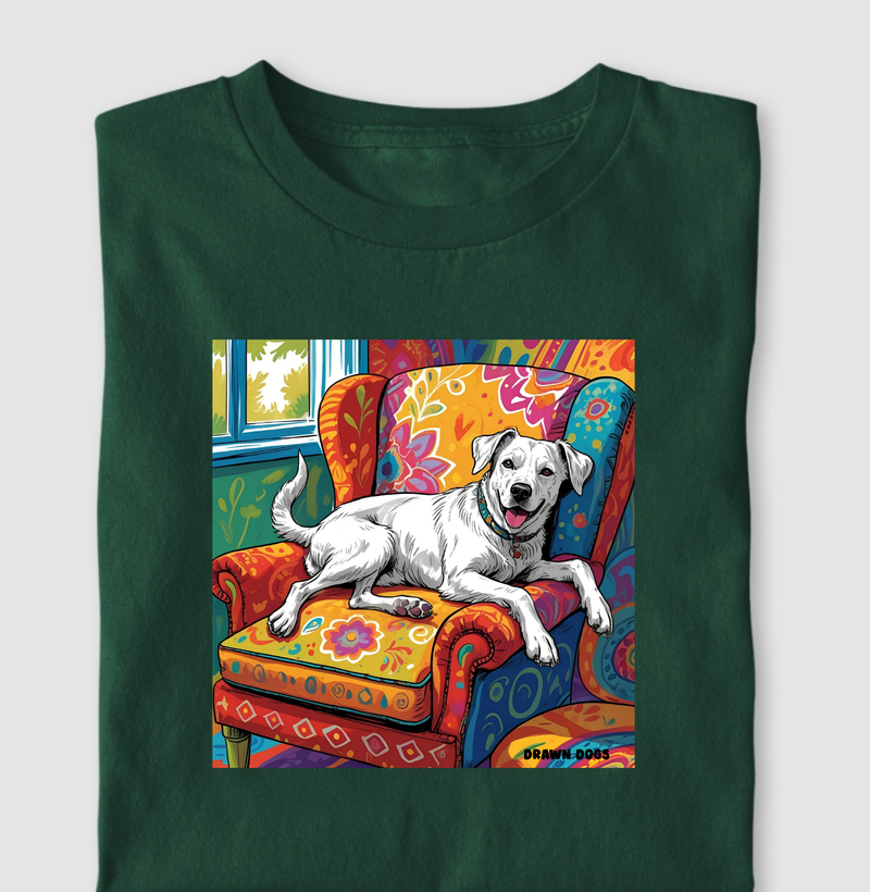 Cachorro na poltrona com fundo colorido